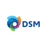 DSM